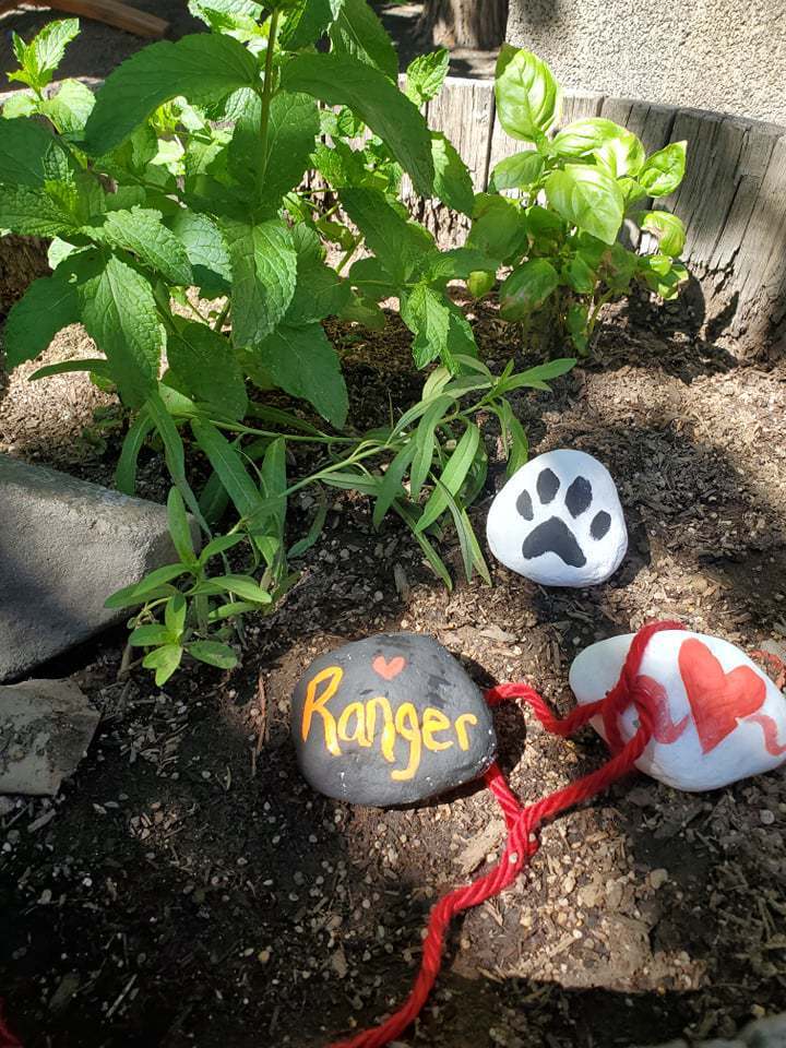 Circle of Life Pet Memorial Ceremony Kit A Life WellLived Memorial